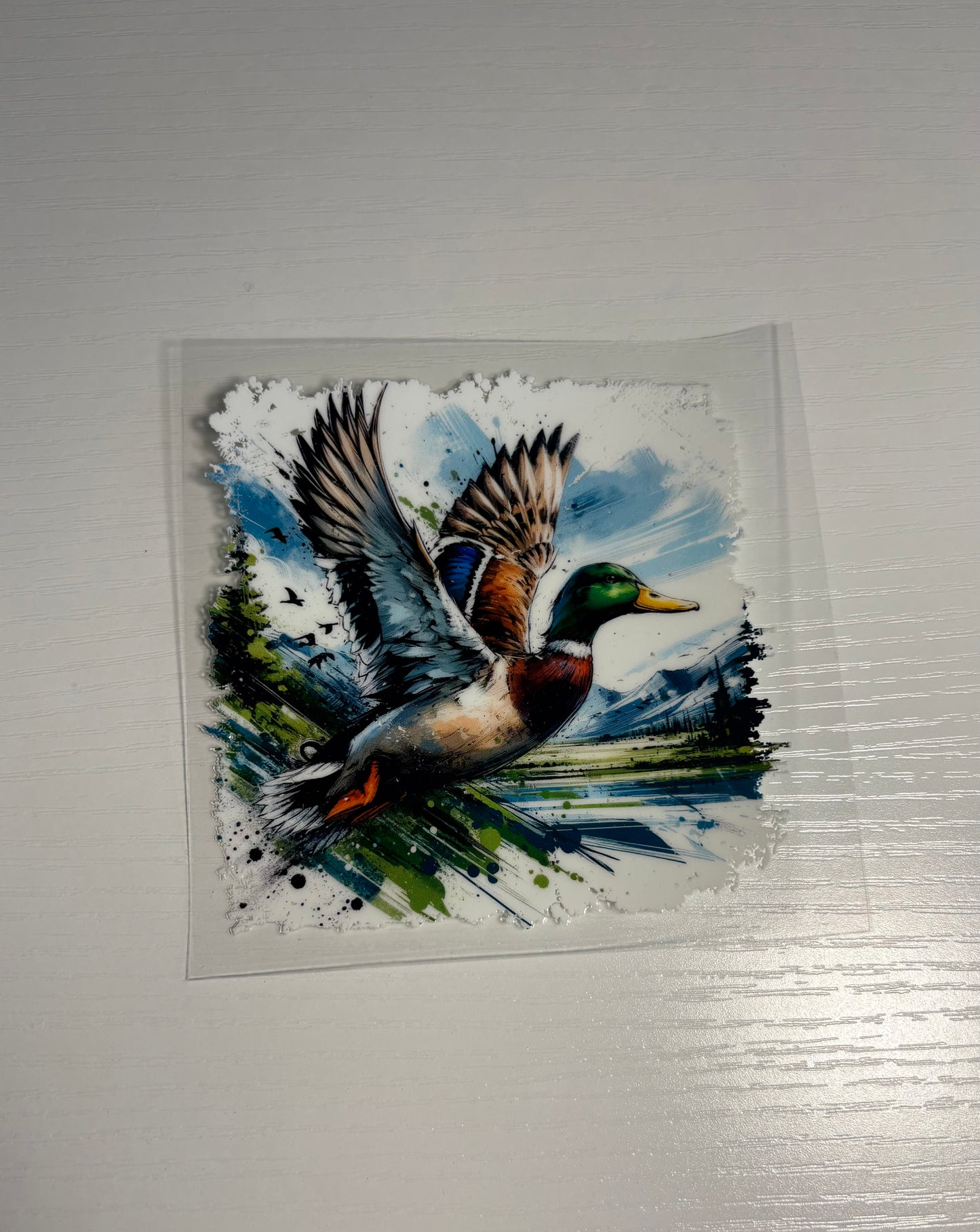Decal 37