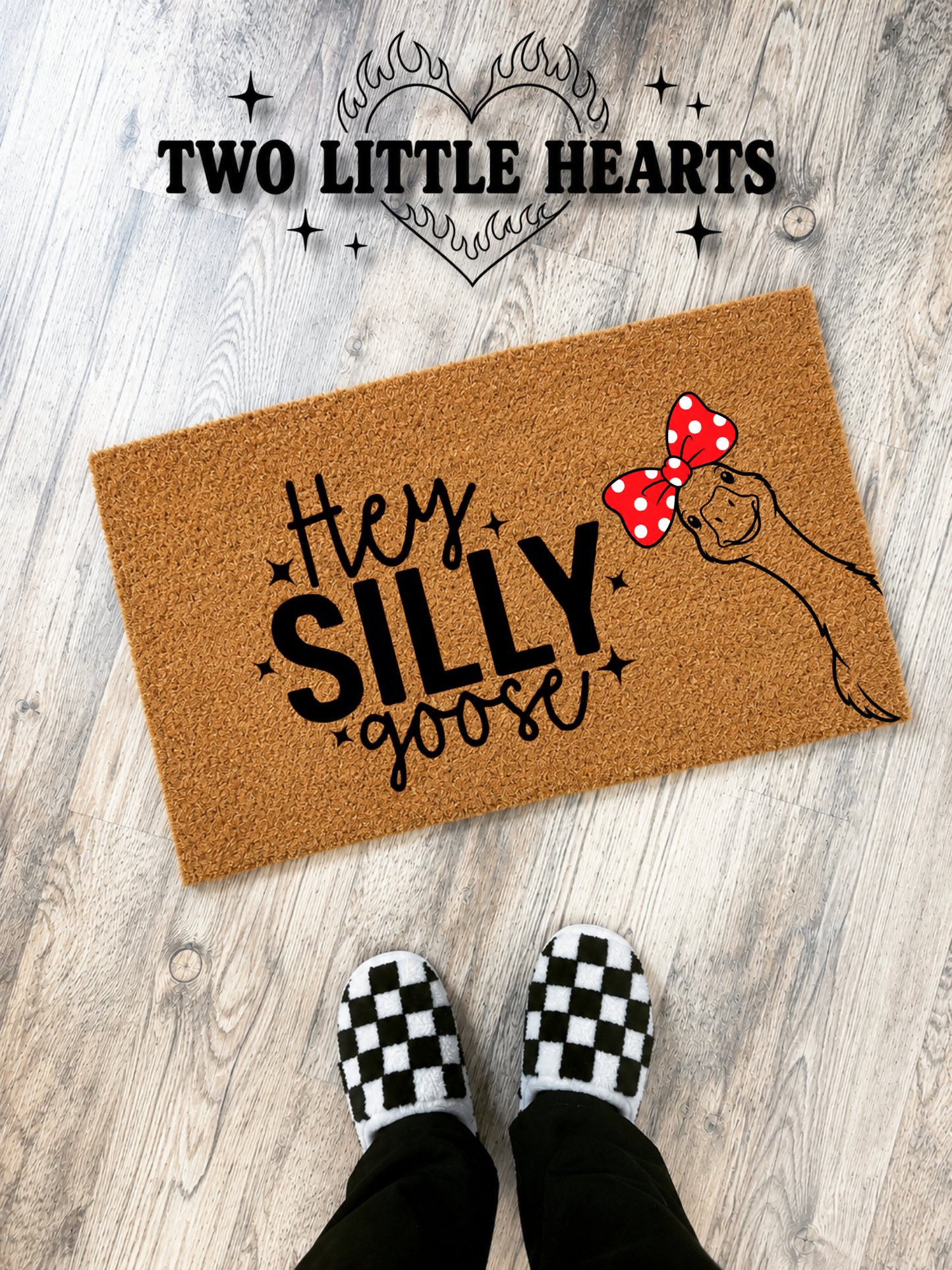 Hey silly 🪿 Doormat